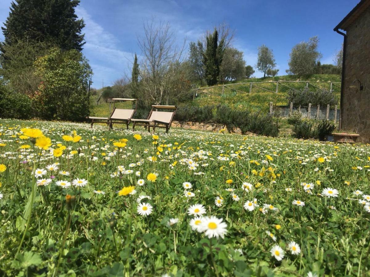 Villa Ledonia Montaione Dış mekan fotoğraf